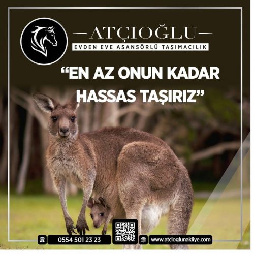 atcioglu-nakliyat-istanbul (7)